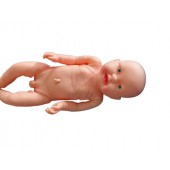 Anatomical New Born Baby Care Model